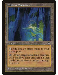 Magic: The Gathering Maze of Shadows (319) Lightly Played