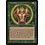 Magic: The Gathering Nurturing Licid (242) Lightly Played