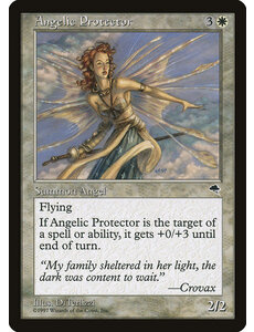 Magic: The Gathering Angelic Protector (002) Lightly Played