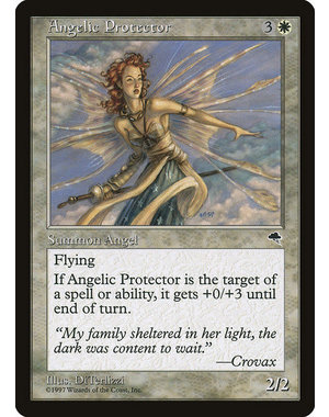 Magic: The Gathering Angelic Protector (002) Lightly Played