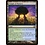 Magic: The Gathering Temple of Mystery (226) Lightly Played