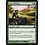 Magic: The Gathering Satyr Hedonist (174) Lightly Played Foil
