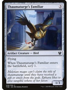 Magic: The Gathering Thaumaturge's Familiar (238) Lightly Played