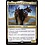 Magic: The Gathering Kunoros, Hound of Athreos (222) Lightly Played