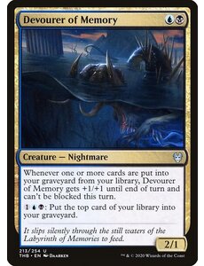 Magic: The Gathering Devourer of Memory (213) Lightly Played