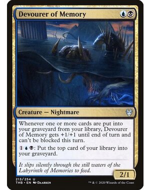 Magic: The Gathering Devourer of Memory (213) Lightly Played