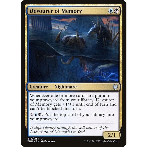 Magic: The Gathering Devourer of Memory (213) Lightly Played