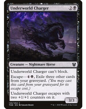 Magic: The Gathering Underworld Charger (120) Lightly Played