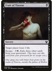 Magic: The Gathering Fruit of Tizerus (096) Lightly Played