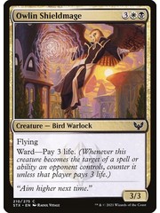 Magic: The Gathering Owlin Shieldmage (210) Near Mint