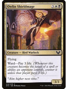 Magic: The Gathering Owlin Shieldmage (210) Near Mint