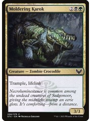 Magic: The Gathering Moldering Karok (206) Near Mint