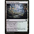 Magic: The Gathering Witherbloom Campus (275) Near Mint