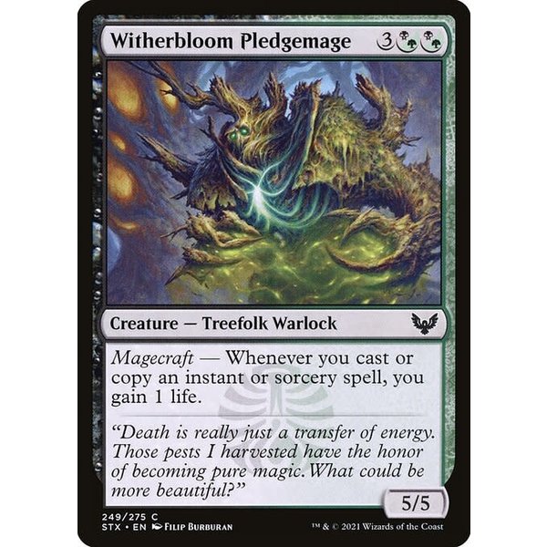 Magic: The Gathering Witherbloom Pledgemage (249) Near Mint