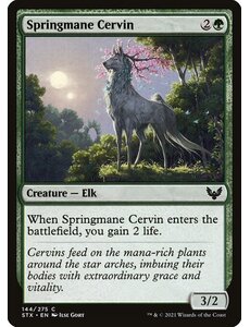Magic: The Gathering Springmane Cervin (144) Near Mint