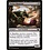 Magic: The Gathering Novice Dissector (079) Near Mint