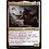 Magic: The Gathering Quintorius, Field Historian (220) Near Mint