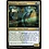 Magic: The Gathering Quandrix Apprentice (216) Near Mint