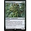 Magic: The Gathering Gnarled Professor (133) Near Mint
