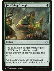 Magic: The Gathering Fortifying Draught (132) Near Mint