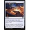 Magic: The Gathering Letter of Acceptance (256) Near Mint