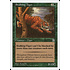 Magic: The Gathering Stalking Tiger (149) Near Mint
