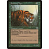 Magic: The Gathering Stalking Tiger (186) Lightly Played