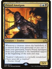 Magic: The Gathering Prized Amalgam (249) Moderately Played