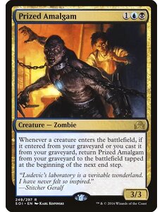 Magic: The Gathering Prized Amalgam (249) Moderately Played