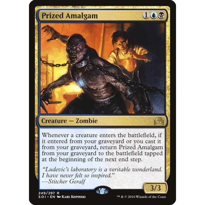 Magic: The Gathering Prized Amalgam (249) Moderately Played