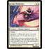 Magic: The Gathering Araba Mothrider (002) Moderately Played