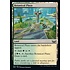Magic: The Gathering Botanical Plaza (247) Near Mint