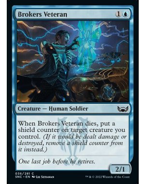 Magic: The Gathering Brokers Veteran (036) Near Mint Foil