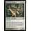 Magic: The Gathering Wilt-Leaf Cavaliers (244) Moderately Played
