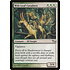 Magic: The Gathering Wilt-Leaf Cavaliers (244) Moderately Played