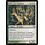 Magic: The Gathering Wilt-Leaf Cavaliers (244) Moderately Played Foil