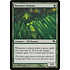Magic: The Gathering Nurturer Initiate (124) Moderately Played