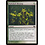 Magic: The Gathering Barkshell Blessing (224) Lightly Played Foil