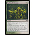 Magic: The Gathering Barkshell Blessing (224) Moderately Played