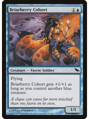 Magic: The Gathering Briarberry Cohort (030) Moderately Played Foil