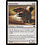 Magic: The Gathering Woeleecher (027) Lightly Played Foil