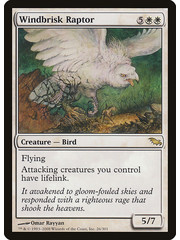Magic: The Gathering Windbrisk Raptor (026) Moderately Played
