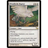 Magic: The Gathering Windbrisk Raptor (026) Moderately Played