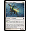 Magic: The Gathering Rune-Cervin Rider (020) Moderately Played