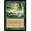 Magic: The Gathering Divergent Growth (116) Moderately Played