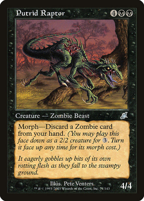mtg raptor cards Raptor, 45 cards