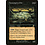 Magic: The Gathering Consumptive Goo (062) Heavily Played