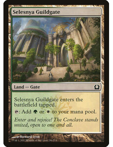 Magic: The Gathering Selesnya Guildgate (246) Moderately Played