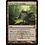 Magic: The Gathering Grove of the Guardian (240) Moderately Played Foil