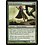 Magic: The Gathering Wild Beastmaster (139) Moderately Played Foil